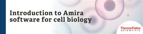 Image result for Amira Cell Segmentation Tutorial