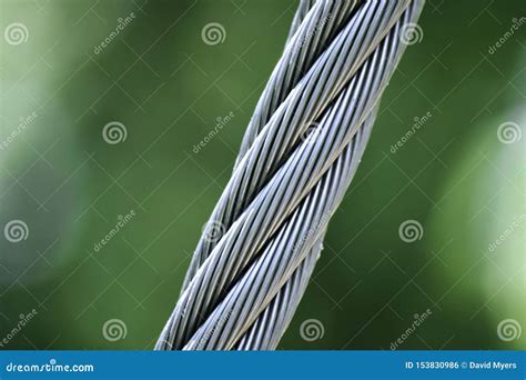 Twisted Guide 的图像结果