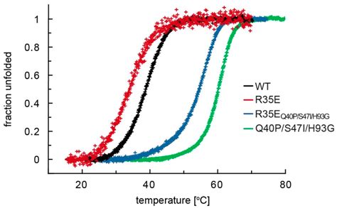 Low Stability of Integrin-Binding Deficient Mutant of FGF1 Restricts ...