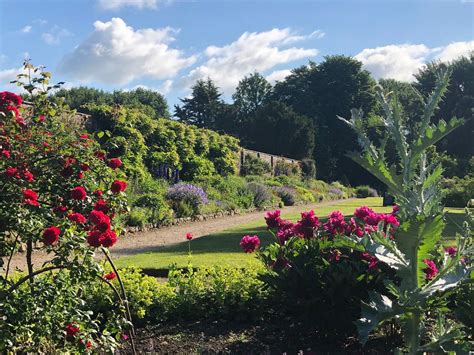 Rare Plant Fair, Waterperry Gardens, Nr. Oxford, Waterperry Gardens ...