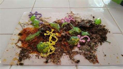 Nature Science Experiments 的图像结果