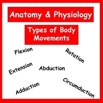 Image result for Muscle Movement Types
