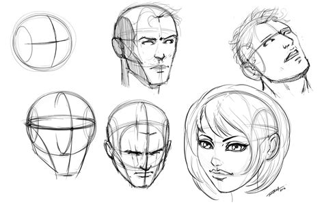 Image result for Loomis Method of Drawing