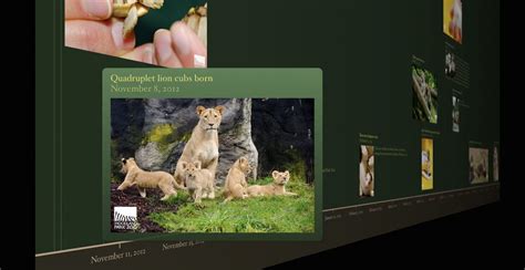 Make a Timeline - by Jeremy Caplan - Wonder Tools