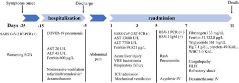 Frontiers | Case report: Disseminated herpes simplex virus 1 infection ...