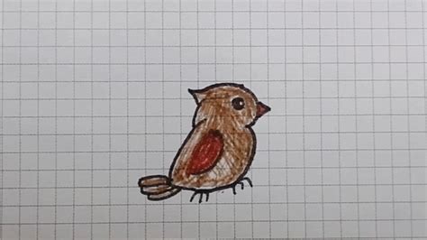 Flash鼠绘:小鸟的绘制_Flash教程