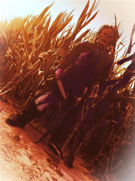 Gallery — 301 Devils Playground