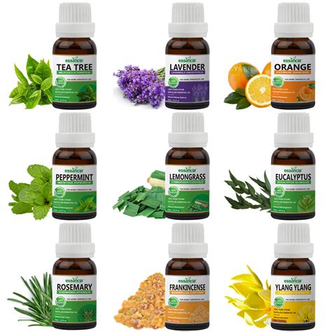 Pack of 9 Essential Oils (Tea Tree, Lavender, Orange, Peppermint, Euca ...