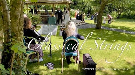 Image result for Classical String Quartet