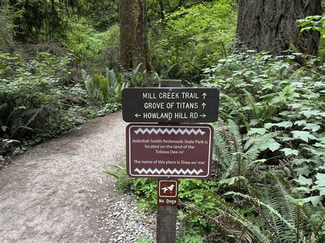 Hiking the Grove of the Titans Trail in Jedediah Smith Redwoods State ...
