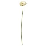 SMYCKA artificial flower, in/outdoor Poppy/white, 51 cm (20") - IKEA