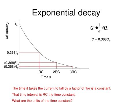 Exponential Decay 的图像结果