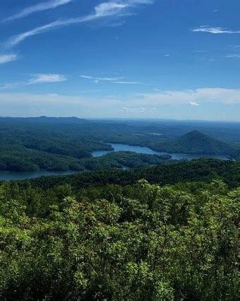 Johnnie Franklin Crittenden Obituary (2024) - Cleveland, TN - Poole ...