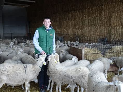 The opinion of Maximino Portaña and his son, Alejandro – meat sheep ...