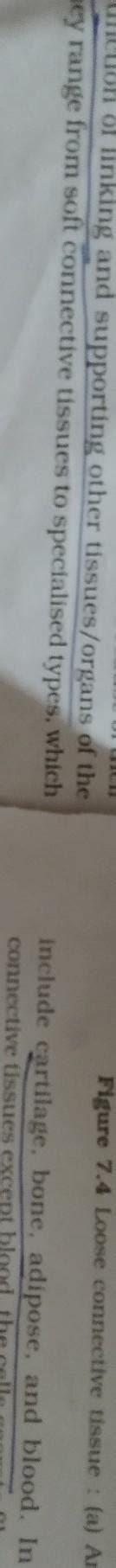 The line from ncert Class 11 states " They range from..........blood ...
