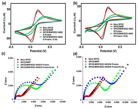 Post-Vaccination Detection of SARS-CoV-2 Antibody Response with ...