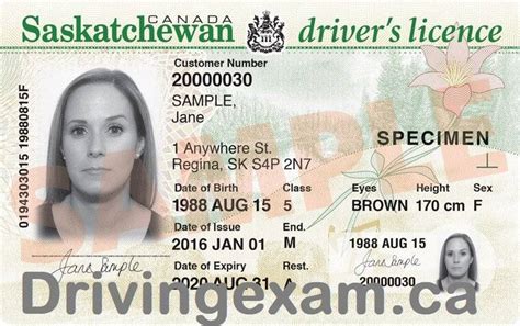 Image result for SGI Driving Test Practice Questions