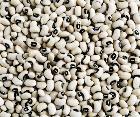 How to grow black-eyed peas - discover expert tips | Homes and Gardens