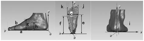 Changes in Foot Shape after Long-Distance Running