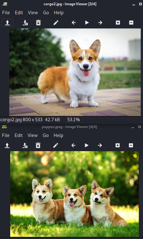 Anonymous TryHackMe Walkthrough - Hacking Articles