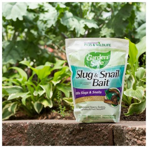 Garden Safe 2-lb Bait Snail and Slug Killer HG-4536 at Lowes.com