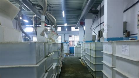 Facility || Aerospace & Special Processes