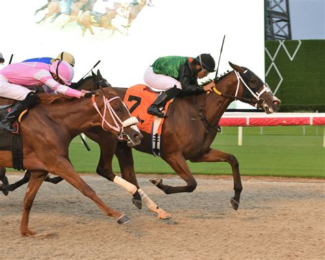 Spot Plays for 2026 Kentucky Oaks Day at Churchill Downs | TwinSpires