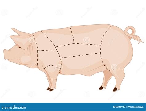 Pork chart stock illustration. Illustration of nutrition - 8341917