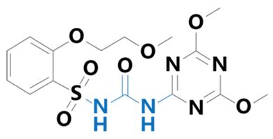 First Clarification of the Involvement of Glycosyltransferase ...