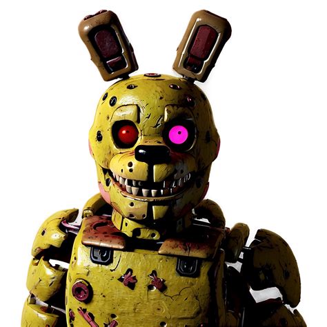 Image result for Spring Trap Repaired