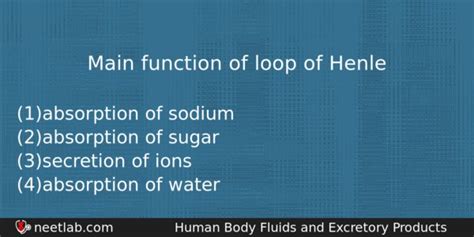 Loop of Henle Function 的图像结果