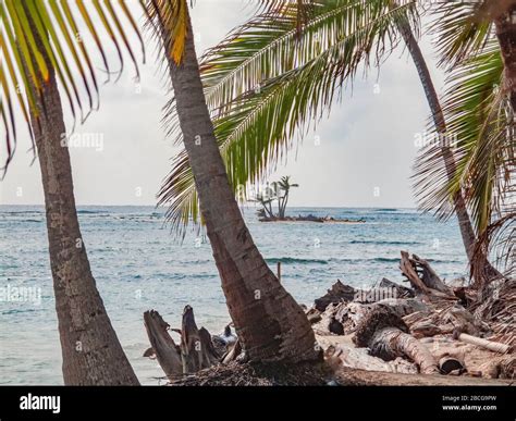 palm Islands of the remote San Blas Islands archipelago of Kuna Yala ...