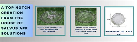 Salvus APP SOLUTIONS Leaf Shape Glass Tray Plate for Dry Fruits, Snacks ...