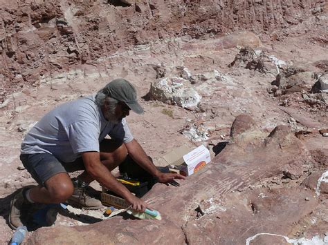 Máximo the Titanosaur | Meer