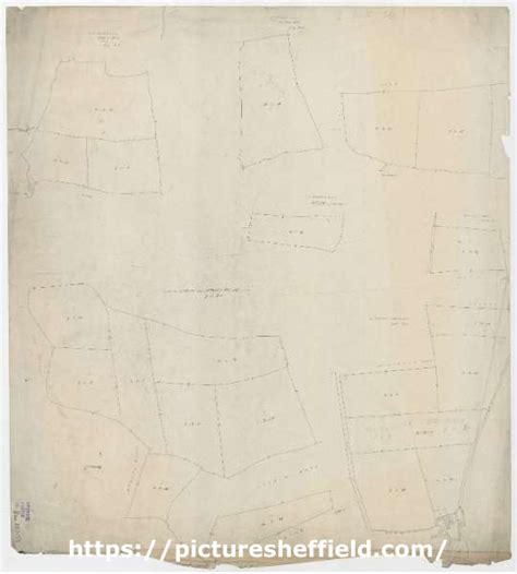 Searching Picture Sheffield