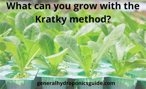 Image result for Krakey System Using Miracle Grow