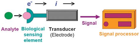 Nanobiosensors Design Using 2D Materials: Implementation in Infectious ...