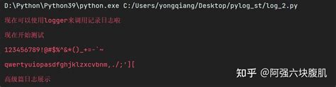 Python getLogger 的图像结果
