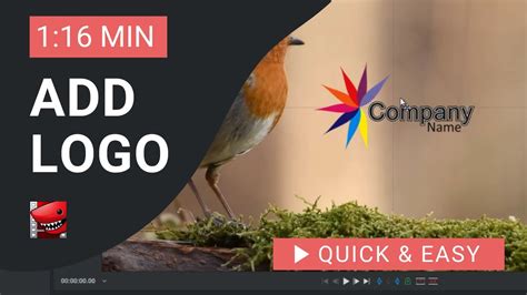 Lightworks Tutorial Highlight Text 的图像结果