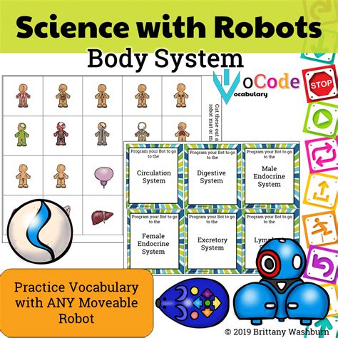 Image result for Body Function in Coding