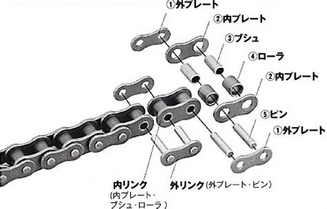 Image result for Splice Example
