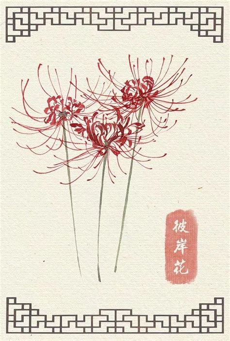 彼岸花：魂兮归来_那花园花卉网(nahuayuan.com):花卉第一网站!爱花人的花园!