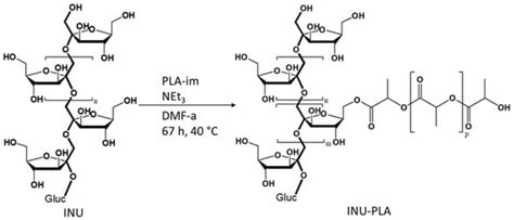 Inulin Amphiphilic Copolymer-Based Drug Delivery: Unraveling the ...