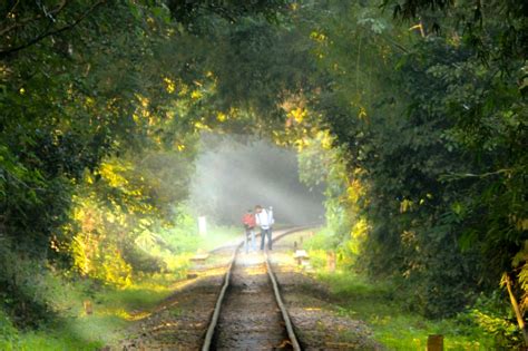 Lawachara National Park 5