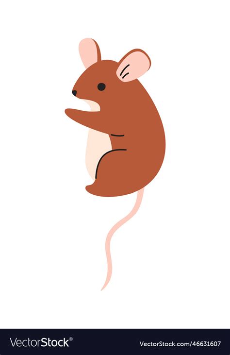 Mouse Crawling around On Screen 的图像结果