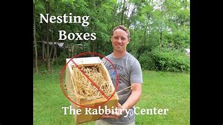 Image result for Outdoor Rabbit Nesting Box