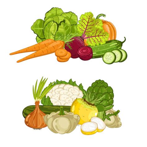 Rau cu qua Vectors - Download Free High-Quality Vectors from Freepik ...