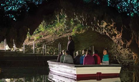 Hobbiton & Waitomo Day Tour from Auckland to Rotorua - Klook