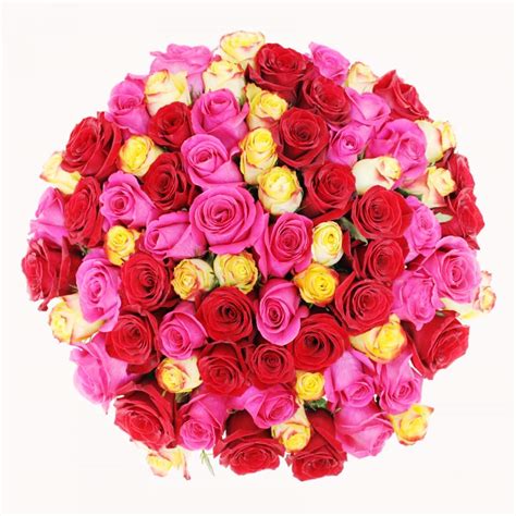 Best Friendship Day Flowers– Bloomsvilla
