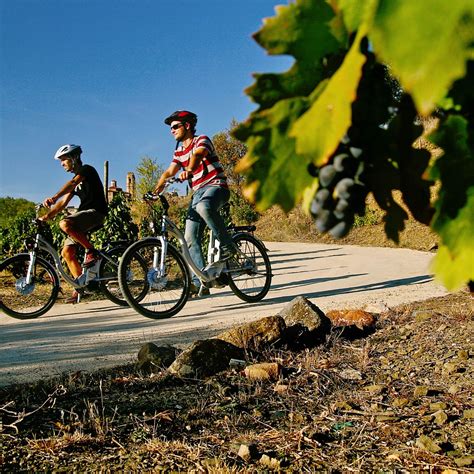 GRATALLOPS WINE TOUR (Updated 2026) All You Need to Know BEFORE You Go ...